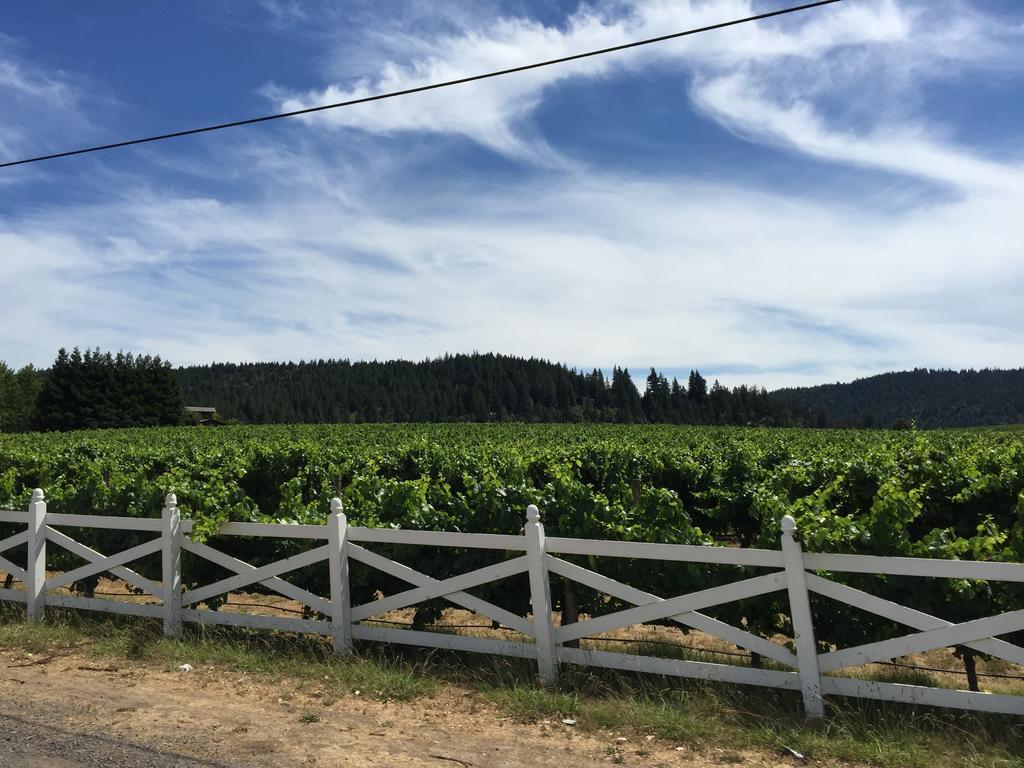 Mendocino Inn & Spa Little River Εξωτερικό φωτογραφία